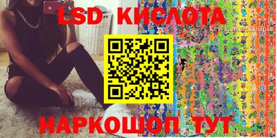 винт Донецк