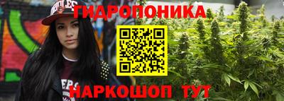 винт Донецк