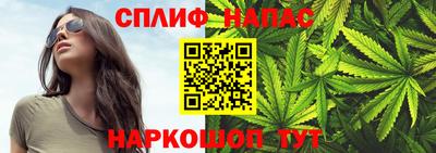 винт Донецк